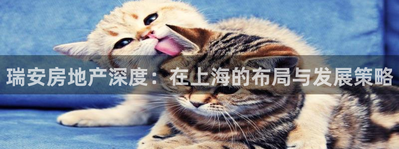 永利股份诊股