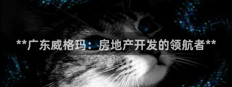永利钻石会员