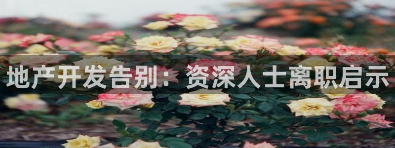 绍兴永利集团董事长