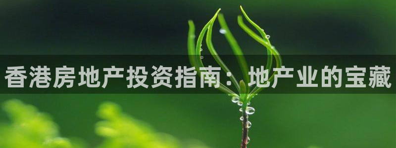 永利官网是什么