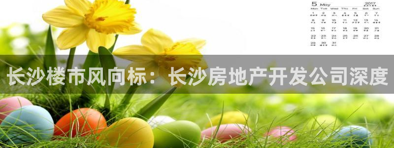 永利集团董事长