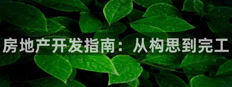 永利股份吧