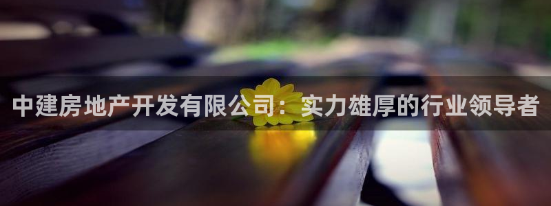 永利皇府黄立青个人资料
