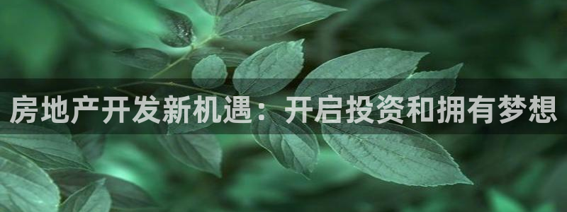 永利网是不是真的假的