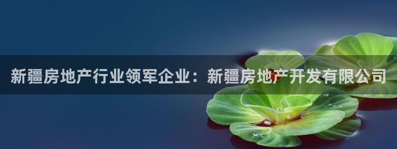 永利金控控股有限公司