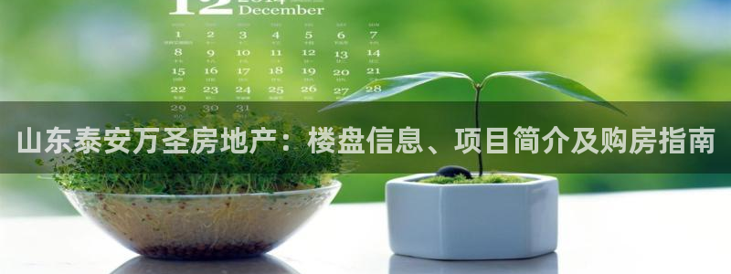 永利表行假货