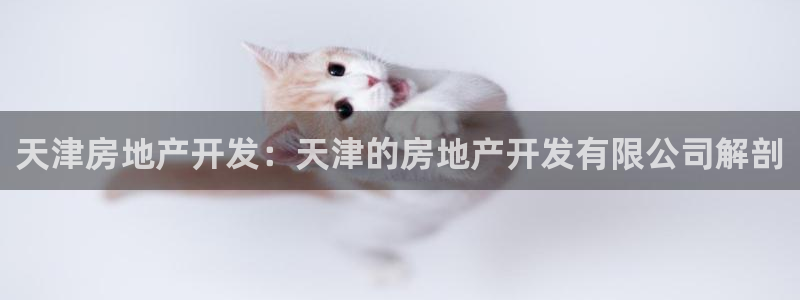 永利官网服务承诺
