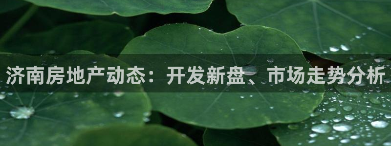 永利背一分什么价格