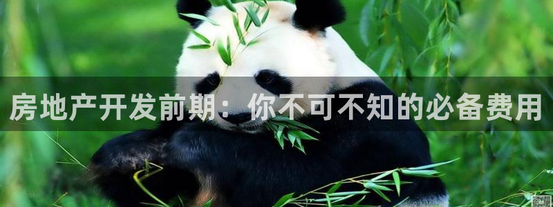 永利服装有限公司