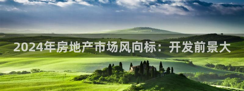 永利皮带型号