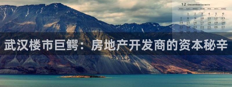 永利金文化有限公司