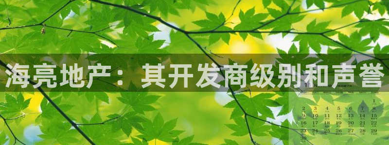 永利皮革