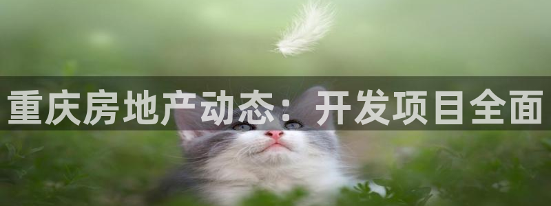 永利中国集团