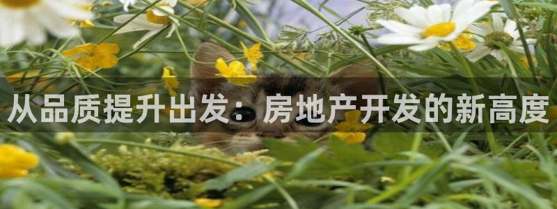 永利网怎么了打不开