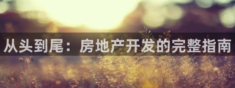 永利有限责任公司