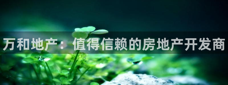 永利汇团购