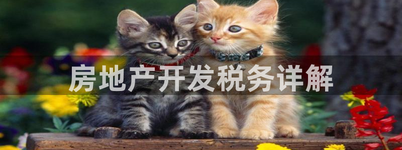 永利官方旗舰店