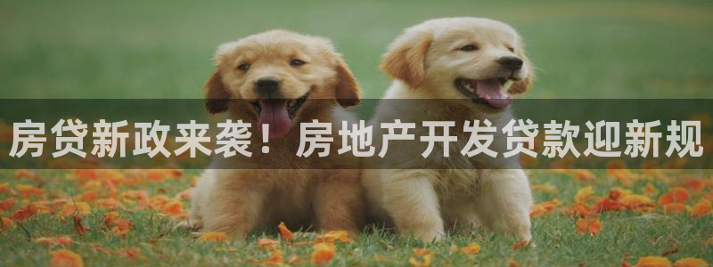 永利皮带型号说明图