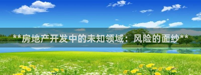 永利房地产有限公司