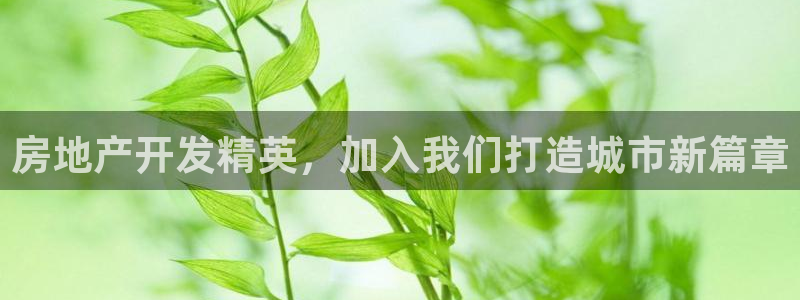 永利工程有限公司