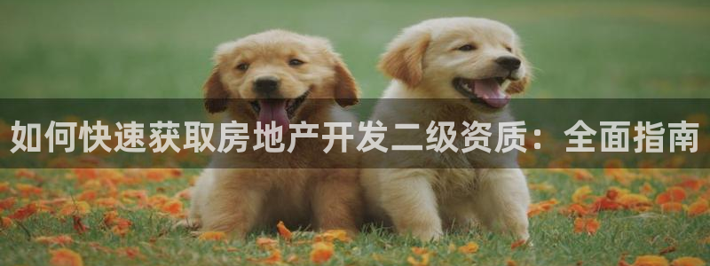 滨州永利篮球俱乐部老板