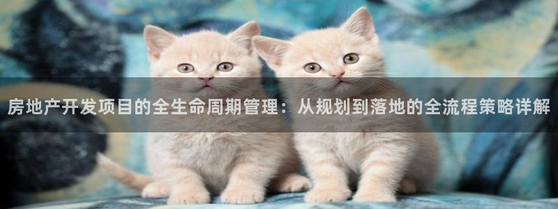 永利房地产有限公司董事长是谁