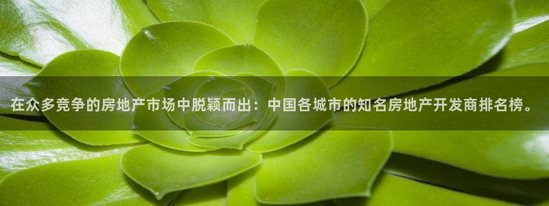 永利中国的老板是谁
