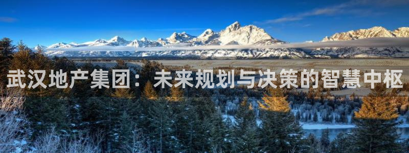 永利输送带