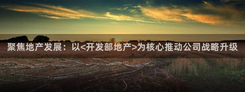 永利制带