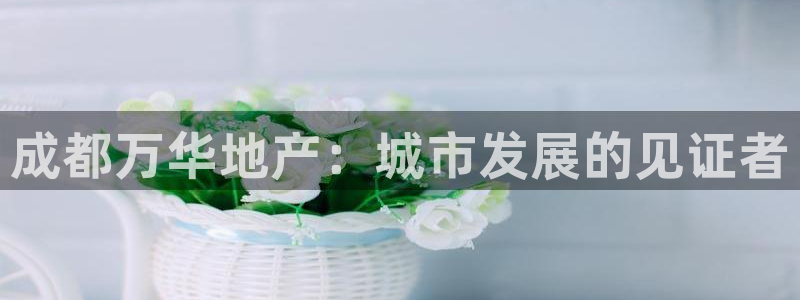 永利皮带型号说明书
