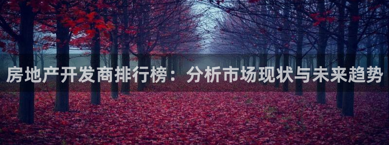 永利34511怎么打不开