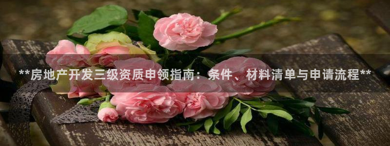 永利游乐城网址是什么