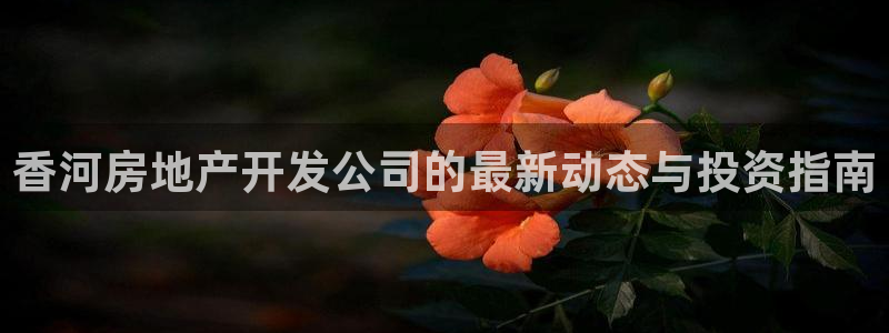 永利能源开发有限公司