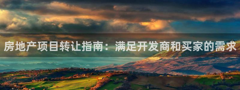 永利地产
