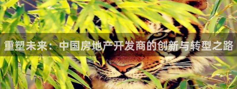 永利输送带