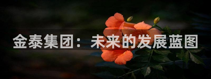 永利股份公司