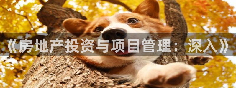 3044am永利集团
