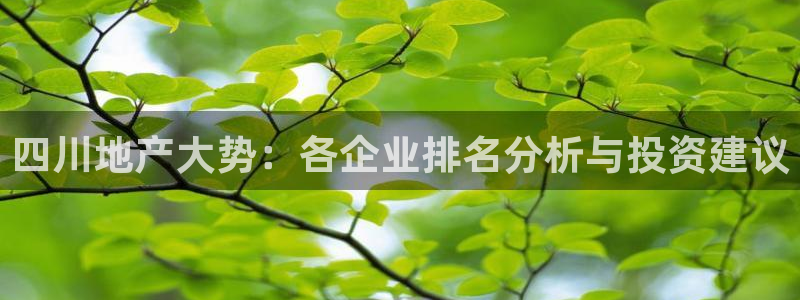 永利运动鞋是几几年出的