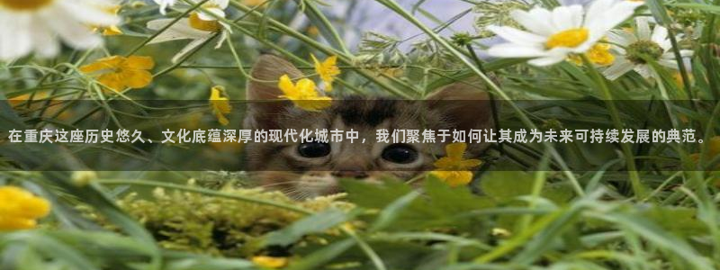 永利返利