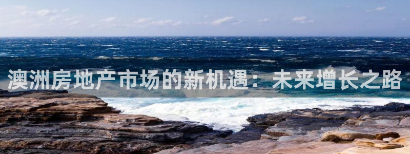 永利汇有什么服务