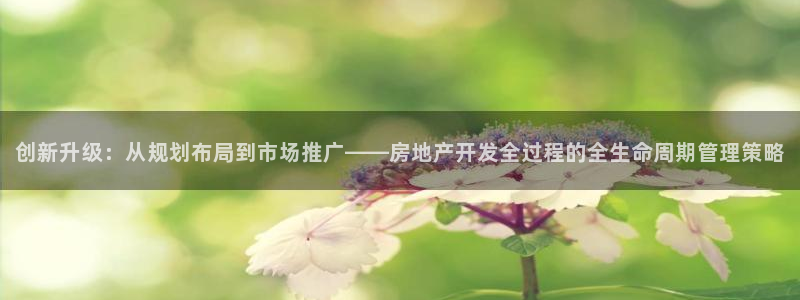 永利传送带业务