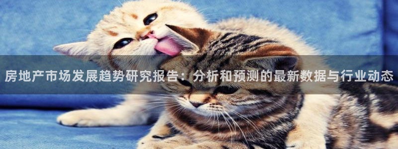 永利皮带型号说明书图片