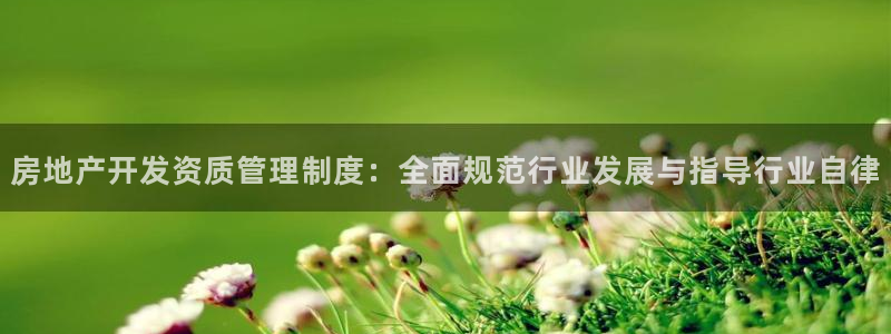 永利官网正网