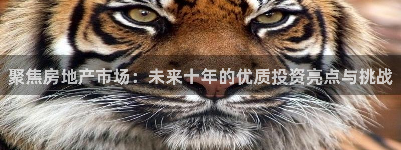 滨州永利集团