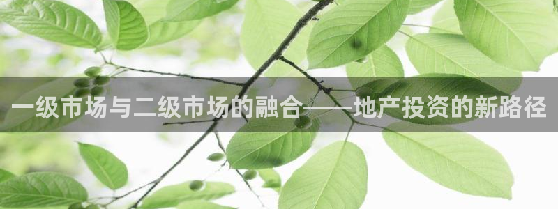 滨州永利篮球俱乐部老板