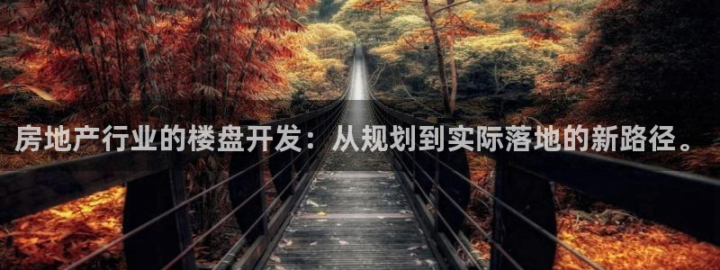 永利皮带官网价格查询系统
