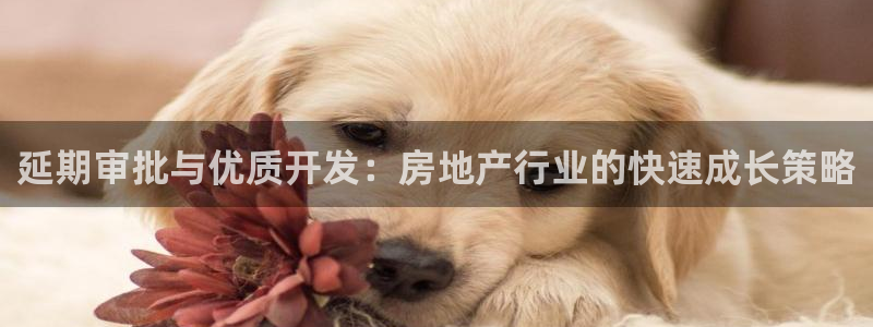 永利皮带官网旗舰店
